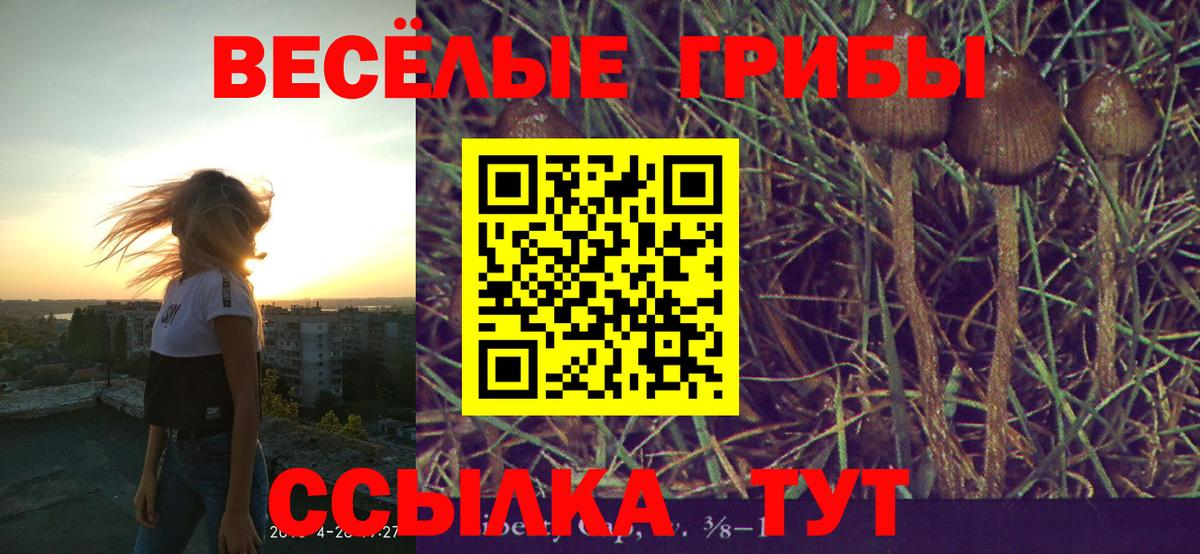 Галлюциногенные грибы Psilocybe Коммунар